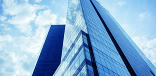 Company profile